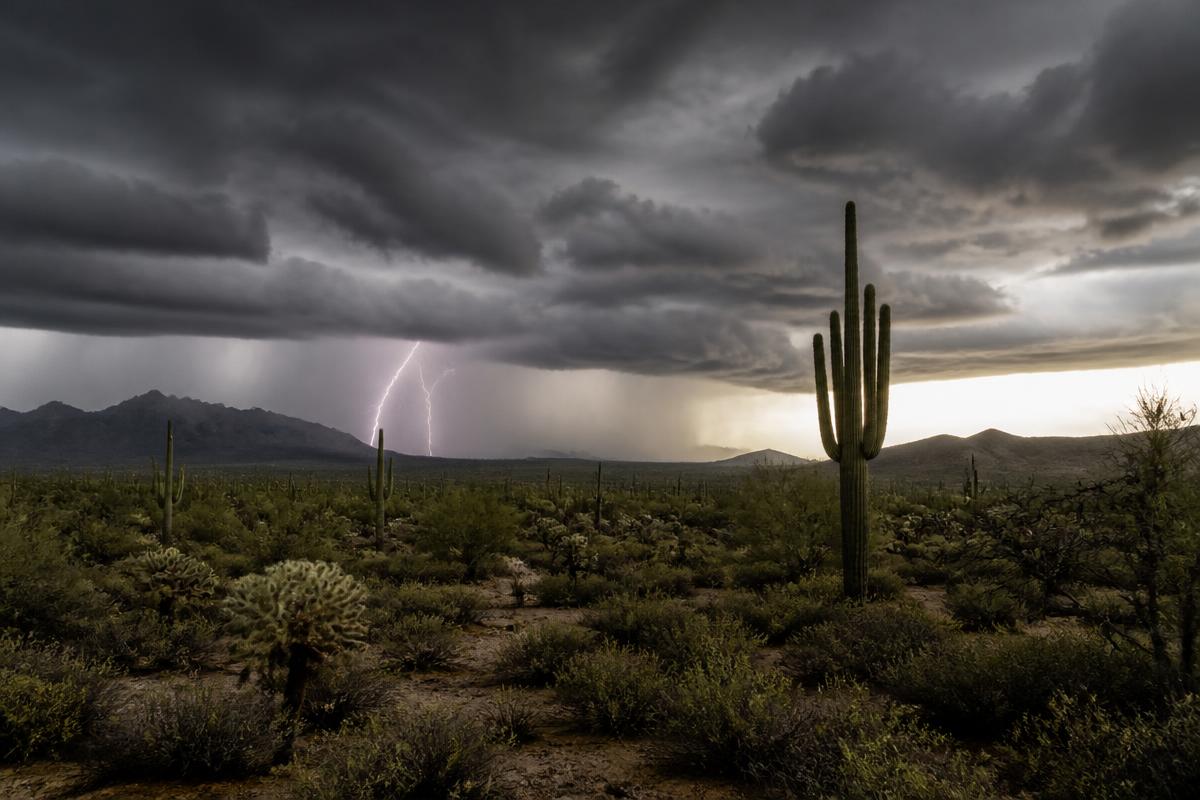 Local Farm Faces Flood Recovery After Monsoon Storms